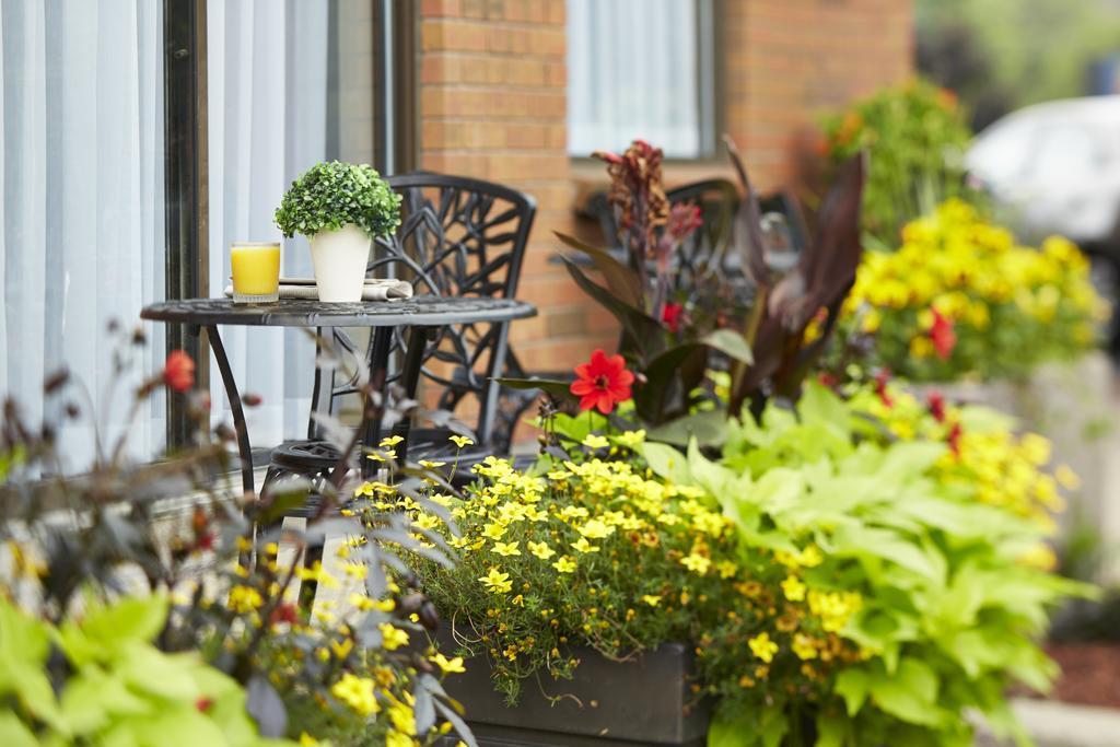 Comfort Inn South Shore Boucherville Zewnętrze zdjęcie